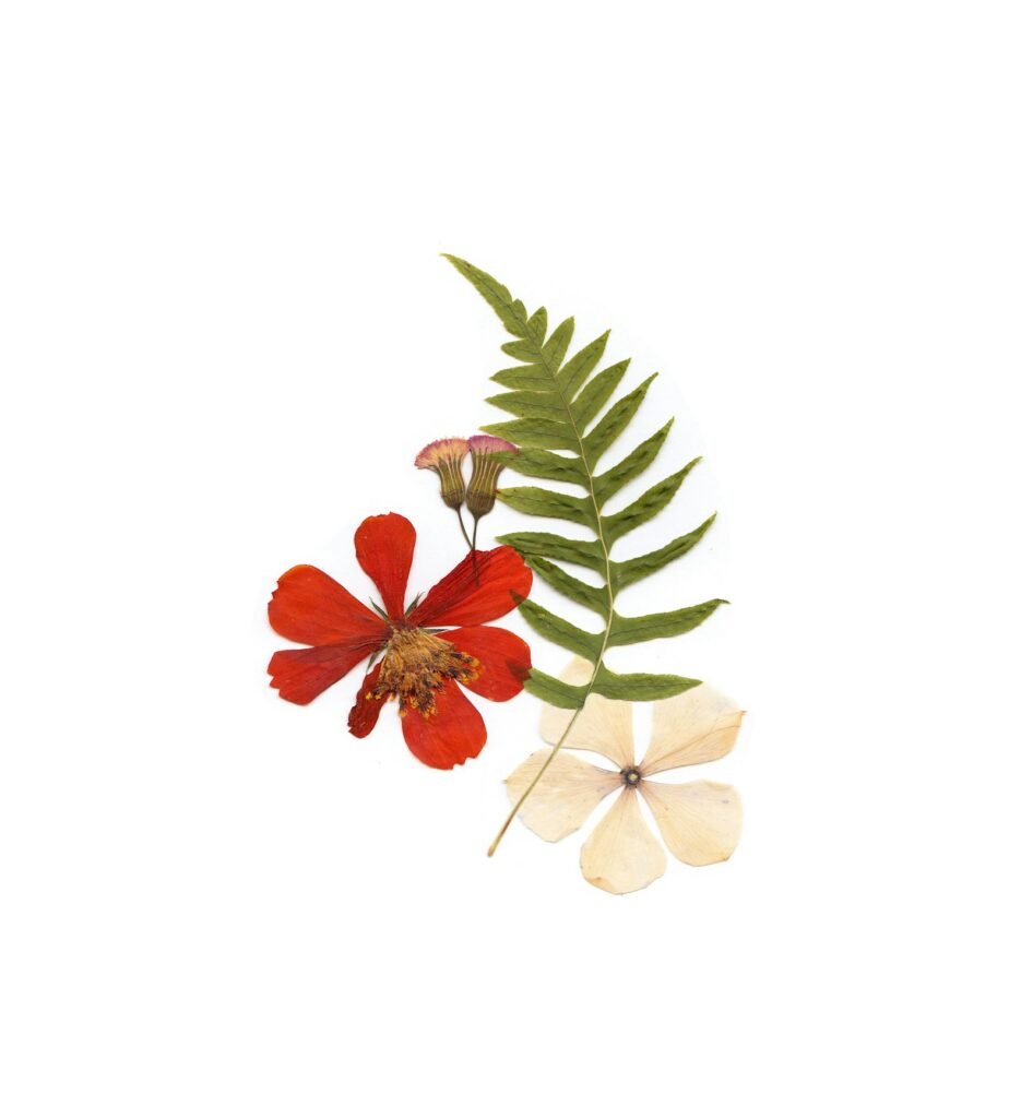 Botanical elements pressed into resin coaster